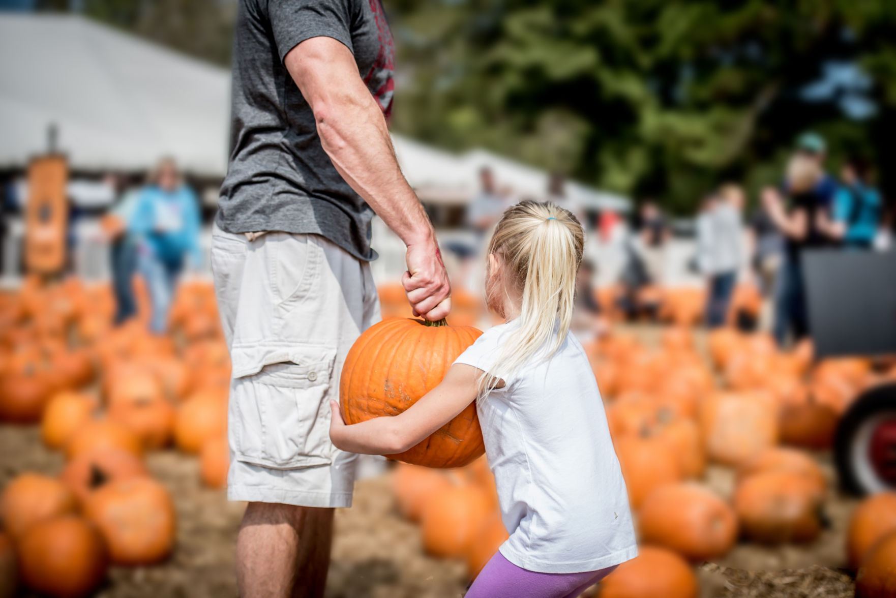 Boone Hall Pumpkin Patch girl and father